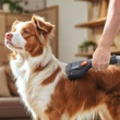 Thomas Pet Care Kit Állatszőr ápoló szett